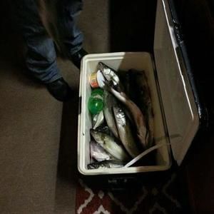 Meet your Posher, Carl